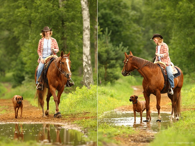 training_reiten